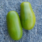 Grüner Heuschrecke Artikelbild